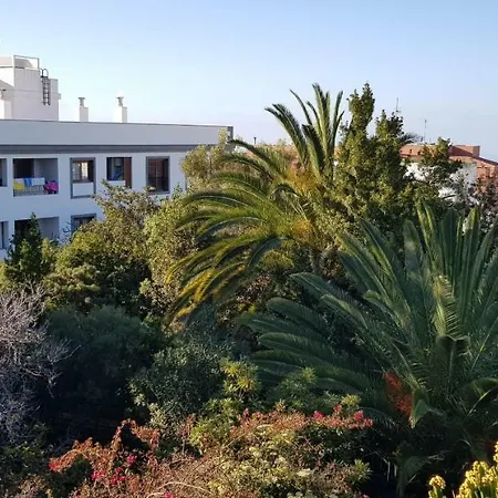 Apartamento Calle Del Medio 7